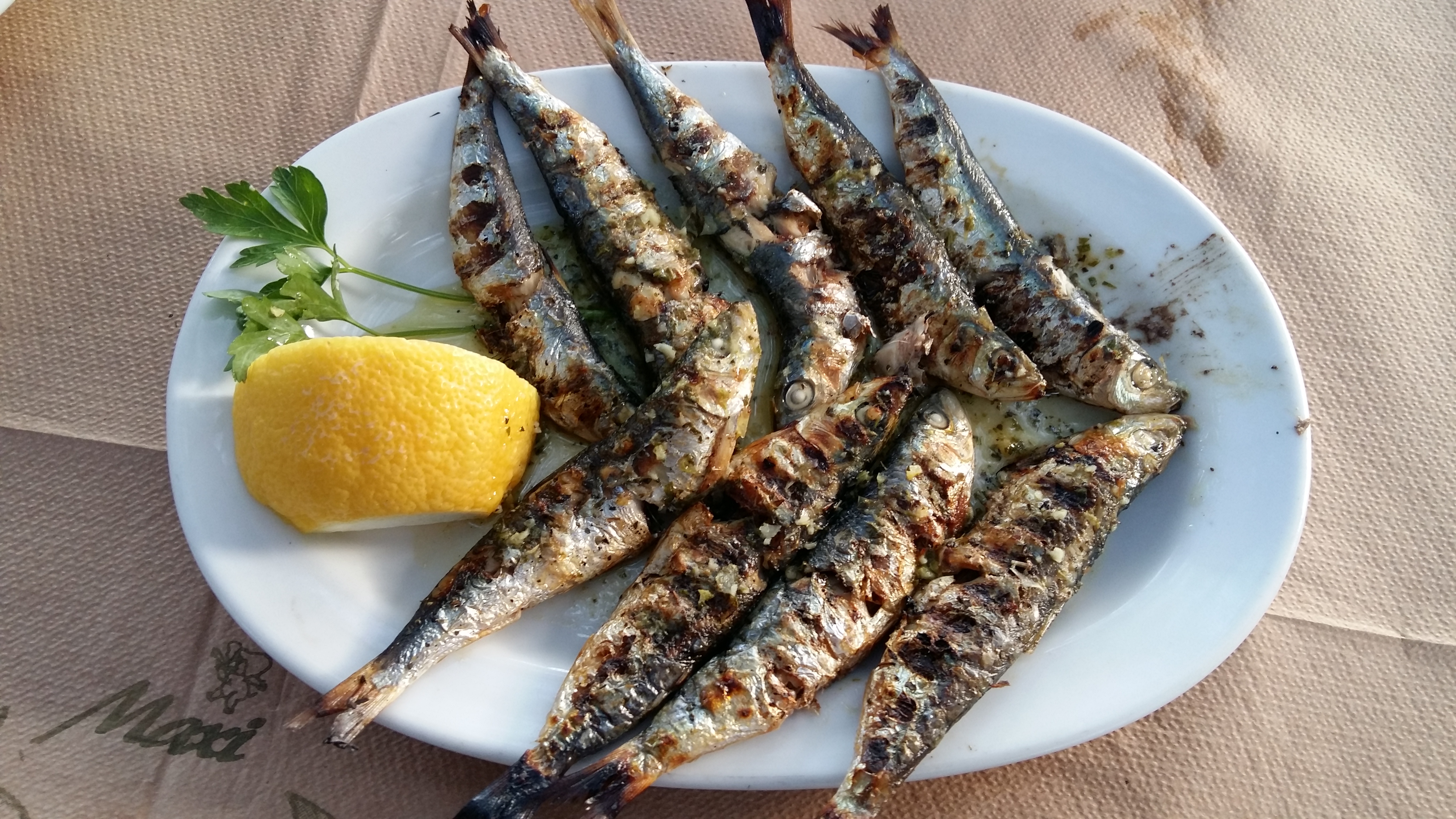 Sardine