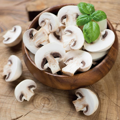  Champignon 