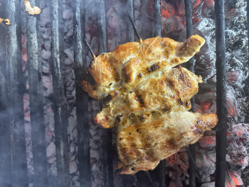 كباب دجاج