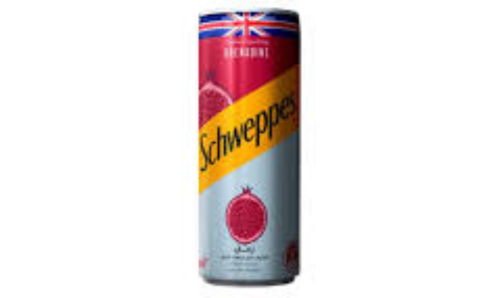 Chweppes canette 24 cl