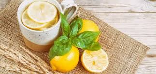 Tisane au citron nature 