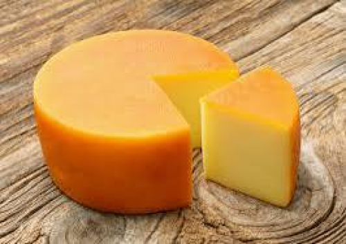 Gouda