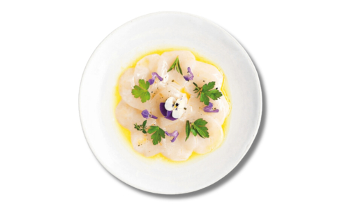 CARPACCIO DE SAINT-JACQUE