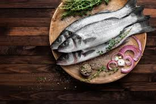 Loup de mer  