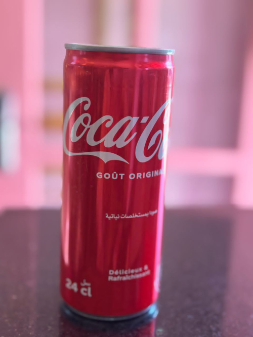 Cocacola canette 24cl