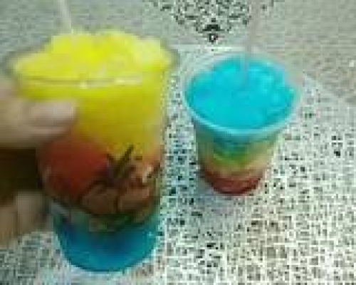 Sorbet Moyen