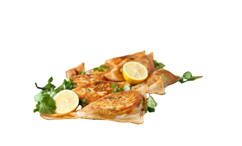 BRIQUE TUNISIEN