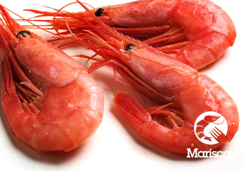 Crevettes /1KG