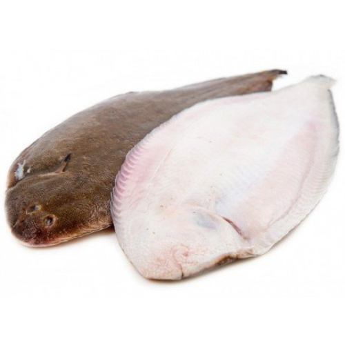 SOLES /1KG