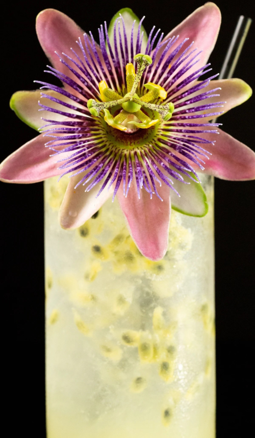 Passion Flower
