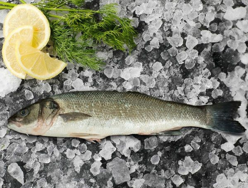 LOUP DE MER     ......kg......