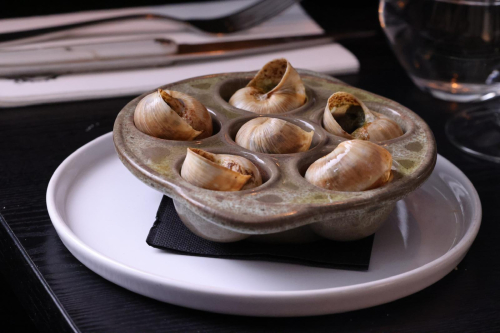 LES 6 GROS ESCARGOTS DE BOURGOGNE
