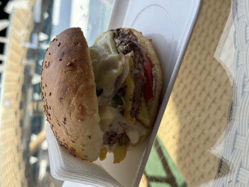 Beef Burger 100GR
