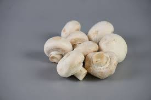 Champignons frais 