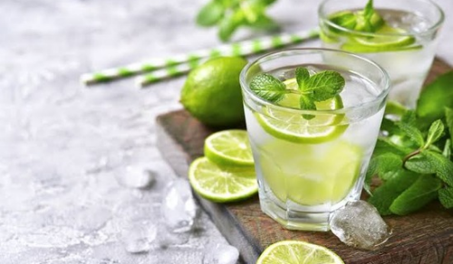 Mojito florida