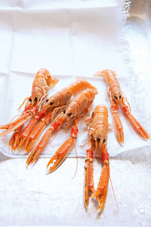 Langostine 